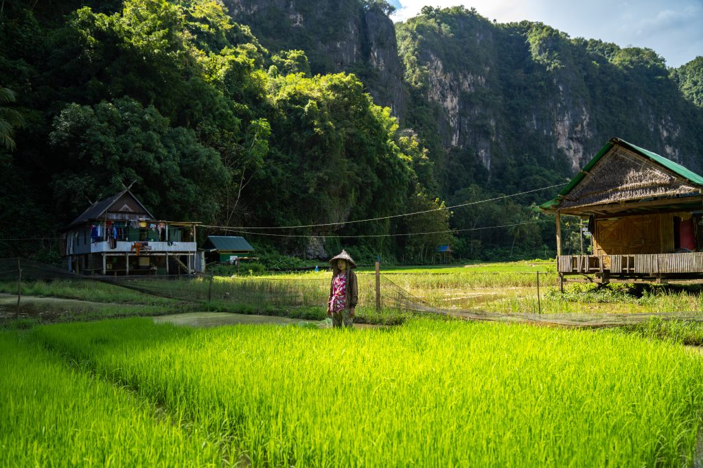 Indonesië Sulawesi