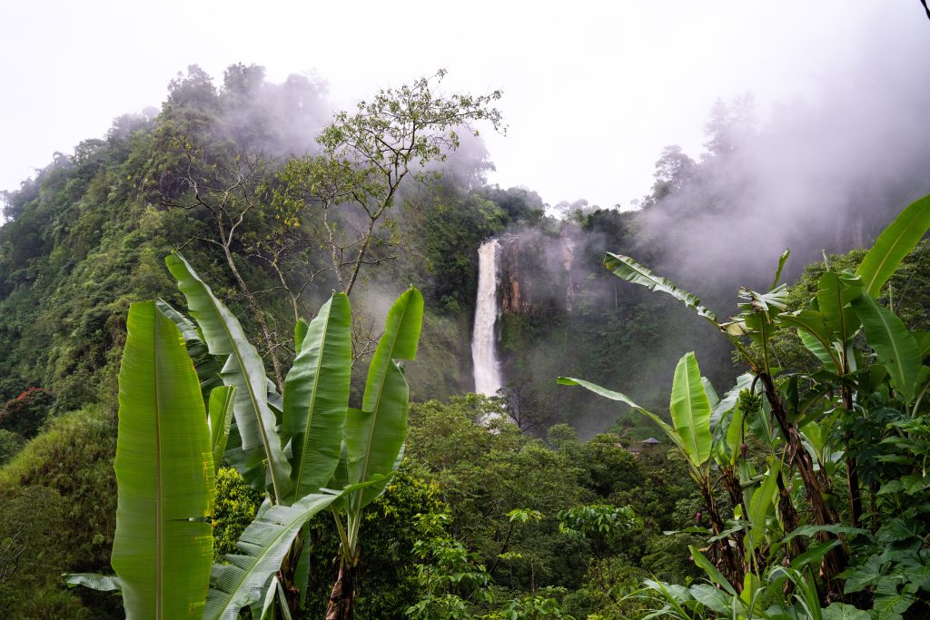 Indonesië Sulawesi